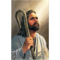 Jesus Postcards (Pkg of 50)