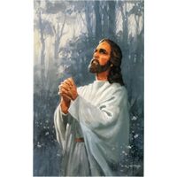 Jesus Praying Postcards (Pkg of 50)