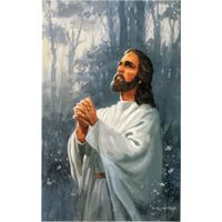 Jesus Praying Postcards (Pkg of 50)