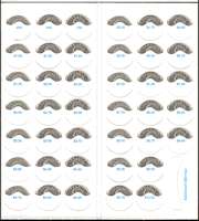 $10 Blank Blue Quarter Coin Folders Without Name and Address (Pkg of 50)