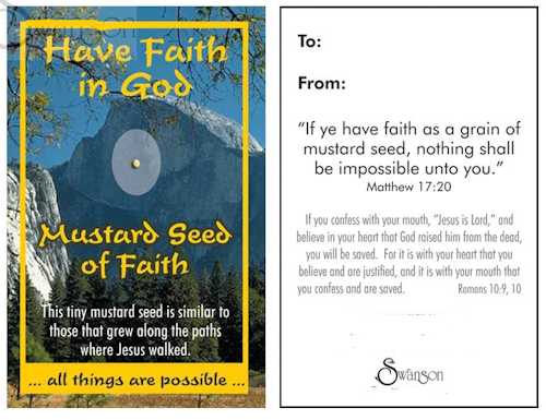 Mustard Seed Pocket Cards Faith