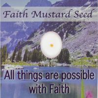 Faith Mustard Seed Pocket Cards (Pkg of 12)