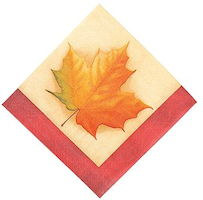 Fall Paper Napkins - Thanksgiving Napkins (Pkg of 16)