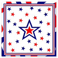 Patriotic Napkins, 4th of July Party Supplies (Pkg of 40)