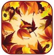 Thanksgiving Paper Plates - Fall Plates (Pkg of 16)