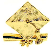 Graduation Pins Gold Mortarboard, Diploma 