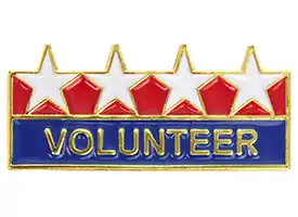 4 Star Volunteer Pin