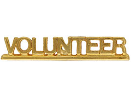 Volunteer Pin Gold Plated