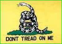 Don't Tread on Me Pin - Gadsden Flag Lapel Pin