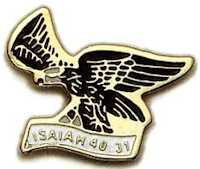 Wings of Eagle Pin Isaiah 40:31