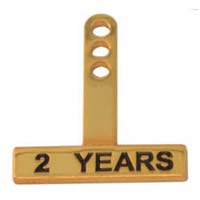 Year Bars - Gold Square Rocker Type