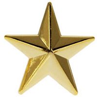 Rounded Gold Star Lapel Pin