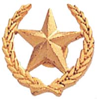 Star and Wreath Award Pin Gold