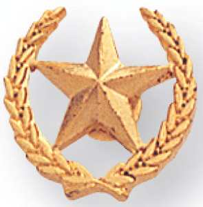 Star & Wreath Award Pin Gold