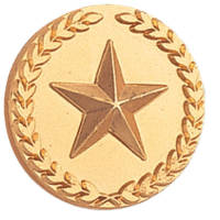 Gold Star Pin with Laurel Wreath
