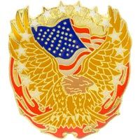 American Flag Bald Eagle Pin, America Pin, Patriotic Pin