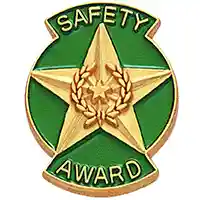 Safety Award Pin - Awards for Safety