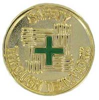 Safety Through Teamwork Gold Plated Pin