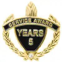 Award Pins for Service - Gold with Rhinestone Accent