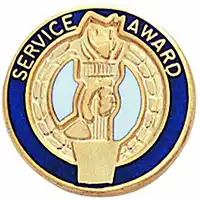 Service Award Pin Gold Plated