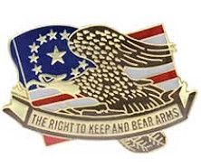 The Right to Keep & Bear Arms Flag Pin