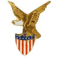 American Flag and Eagle Pin, Eagle and Shield Pin