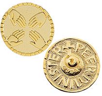 Peer Minister Lapel pins