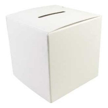 Blank Donation Box - Color It Yourself  (50)