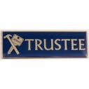 Trustee Badge Pin Magnetic Gold & Blue Large